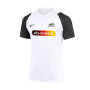 Hochwertiges Deutschlandtrikot in Alfa Design