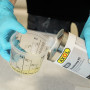 Einkomponentige Kunststoff-Grundierung für lösemittelfreies AXOL-System